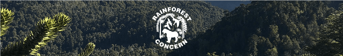 Rainforest Concern logo, featuring a monkey, bird, and leaves, is centered over a dense, green forest stretching into the distance under a clear sky.