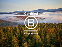 A forest with autumn foliage is seen from above with mist covering distant hills and mountains at sunrise. The Certified B Corporation logo is overlaid in the center of the image.