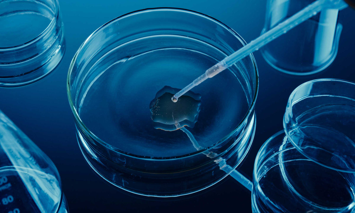 We’ve Partnered with Light Labs: How We’re Making Supplement Testing More Transparent
