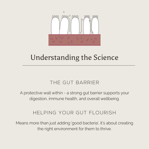 Illustration of gut barrier cells above tissue. Text below explains how True Biome by Ancient + Brave US supports immune health and wellbeing by promoting digestive regularity and a healthy environment for beneficial bacteria to thrive.