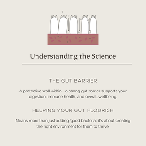 Illustration of gut barrier cells above tissue. Text below explains how True Biome by Ancient + Brave US supports immune health and wellbeing by promoting digestive regularity and a healthy environment for beneficial bacteria to thrive.