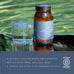 A glass of water and a jar labeled Ancient + Brave True Hydration sit on a green surface. Text below highlights electrolytes, mind and body benefits, and morning rituals. Certified B Corporation logo is shown.