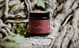 A jar labeled True Ashwagandha sits on large, textured tree roots surrounded by greenery and natural light.