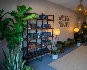 A modern shop interior with large green plants, shelves stocked with products, a green velvet bench, warm lighting, and a sign on the wall reading ANCIENT + BRAVE.
