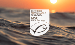 A sunset over the ocean with gentle waves in the foreground. In the center, the MSC Certified Sustainable Seafood logo and website are prominently displayed.