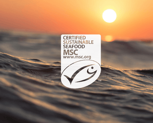 A sunset over the ocean with gentle waves in the foreground. In the center, the MSC Certified Sustainable Seafood logo and website are prominently displayed.
