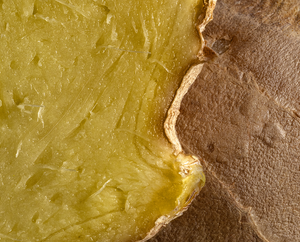 Close-up image of a cut ginger root, showing the fibrous yellow-green interior and the rough, brown outer skin. The texture and moisture of the ginger flesh are clearly visible.