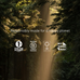 Sunlight streams through tall trees in a lush forest. Text reads: Ancient + Brave True Collagen—responsibly made for a happy planet, with four sustainability and ethical certifications, supporting whole body health with hydrolyzed bovine collagen.