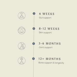 A vertical timeline highlights key wellness milestones with Ancient + Brave Wild Collagen: 6 weeks—gut, 8-12 weeks—skin, 3-6 months—joints, and 12+ months—bones; each phase marked by a simple line icon.