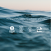Close-up of gentle ocean waves with Responsibly made for a happy planet above four logos, highlighting Wild Collagen Sachets by Ancient + Brave—ideal for whole-body health: 1% for the Planet, B Corp, Climate Neutral Certified, Buy Women Built.