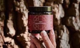 A hand holding a dark jar labeled True Ashwagandha in front of a textured tree trunk, with sunlight highlighting the jar and bark.