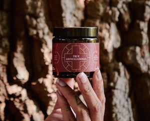 A hand holding a dark jar labeled True Ashwagandha in front of a textured tree trunk, with sunlight highlighting the jar and bark.